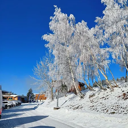 V Du Bachat Asters E01 - Appt Montagne 5 Pers * Chamrousse